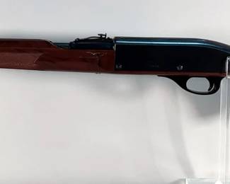 Remington Nylon 66 .22 LR Rifle SN# 2537656, In Gun Sleeve