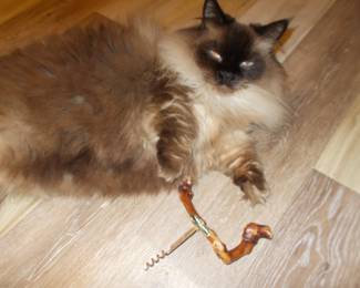 Helper Theodore with Swiss corkscrew