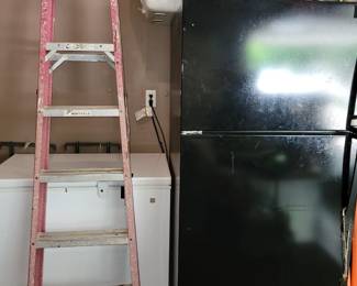 Garage fridge, chest freezer