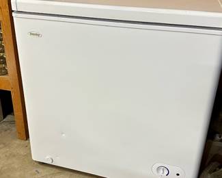 Danny Chest Freezer