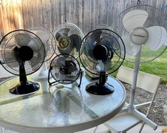 Lots of fans to choose from