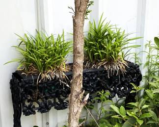 cast iron planters