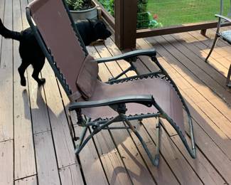 Zero-gravity chair (dog not for sale)
