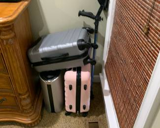 Luggage and metal detector