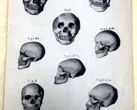 Turn of the century original artwork