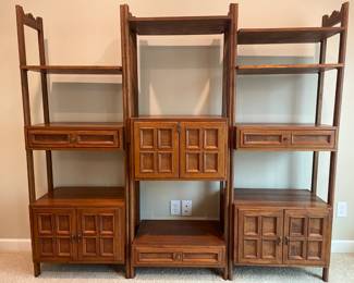 Mid-Century Modern Book Shelf