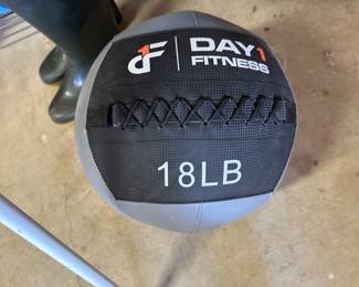 Day Fitness 18 pound exercise ball