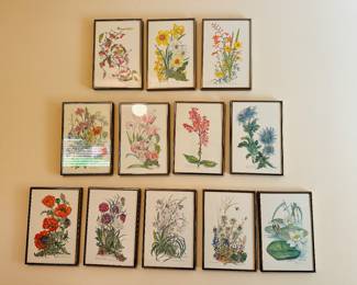Floral Signed Watercolor Collection