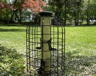 Squirrel And Bird Feeder