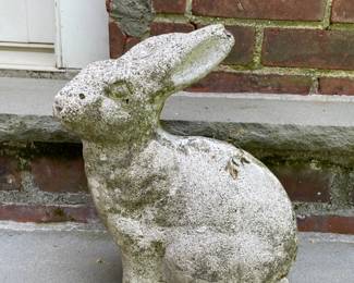 Cement Bunny