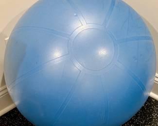 Exercise Ball