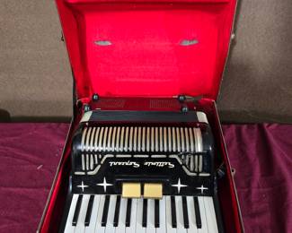 Musical  Accordion in a Case 