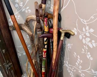 CANE WALKING STICK COLLECTION