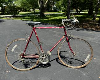 Schwinn World Sport bicycle