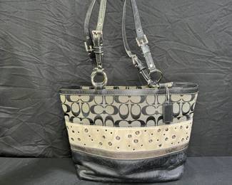 Coach Pieced Striped Signature Suede Tote Bag