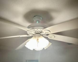 All ceiling fans in house