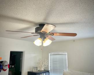 All ceiling fans in house