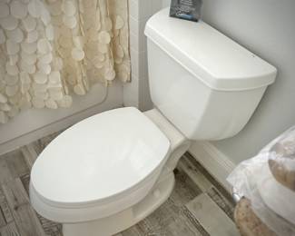 All toilets in house