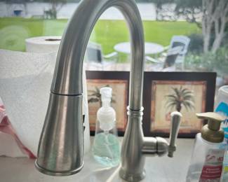 All sinks, faucets, and plumbing in house