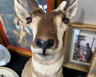 Vintage gazelle mount