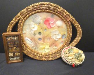 Beach Vibes Seashell Collection