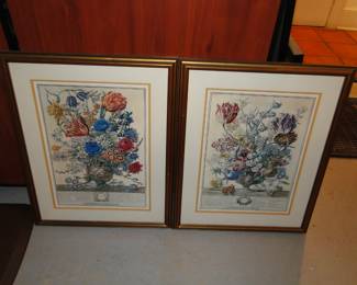 Botanical art $60 for the pair