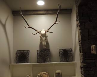 Elk European Mount . Decorator Items