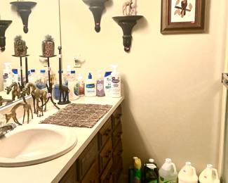 Bathroom safari theme decor and cleaning essentials
