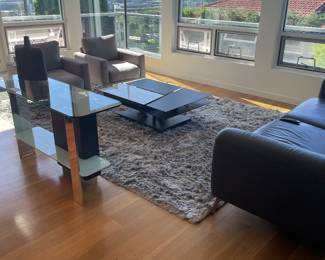 Overview of furniture and rug available for presale in separate photos