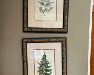 FERN PRINTS
