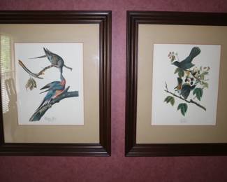 Beautiful bird prints, framed in hall