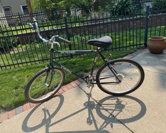 Trek bicycle