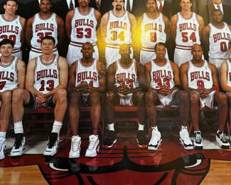 Chicago Bulls Poster