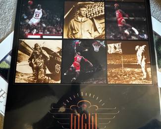Bulls Poster