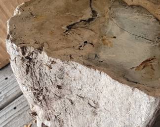 Petrified wood