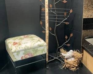 Stool, Tall Candle Holder , Bird With Nest