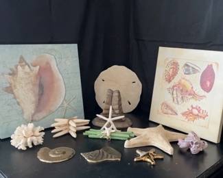 Starfish, Coral, Sand Dollars 