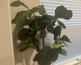 Silk plants and trees