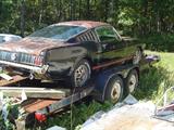 1966 GT MUSTANG