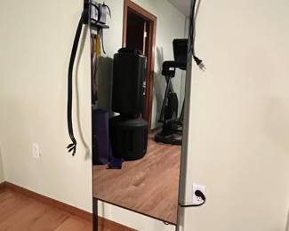 "Mirror" Home Gym