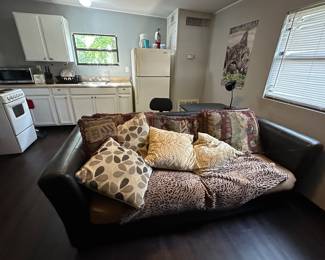 Small efficiency apartment everything must go