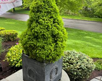 2 of these iron based trees 5ft 8 inches tall