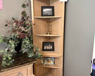 Corner Bookcase