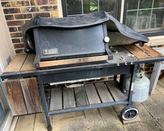 Outdoor propane grill