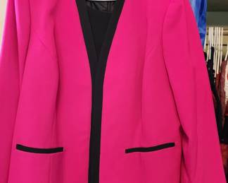 Women's clothing sizes M, L, XL (brands like Dressbarn, DIP, Chaps, Vintage, Jones Studio)