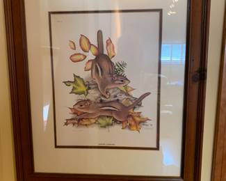 #121 Framed Print of Eastern Chipmunks - 456/500 - Rick Hi $30.00