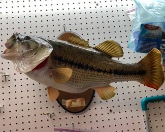 #143 Bass Fish Wall Hanging $30.00