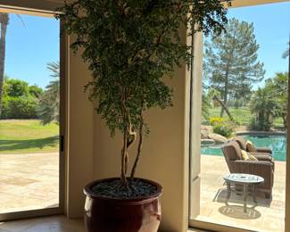 Tall Faux Silk Tree in Red Pot