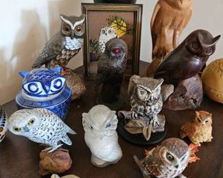 Owl collection!