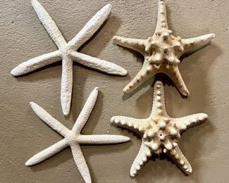 Starfish 
